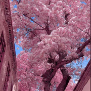 ○o✨🌈雲謌✨○o的头像