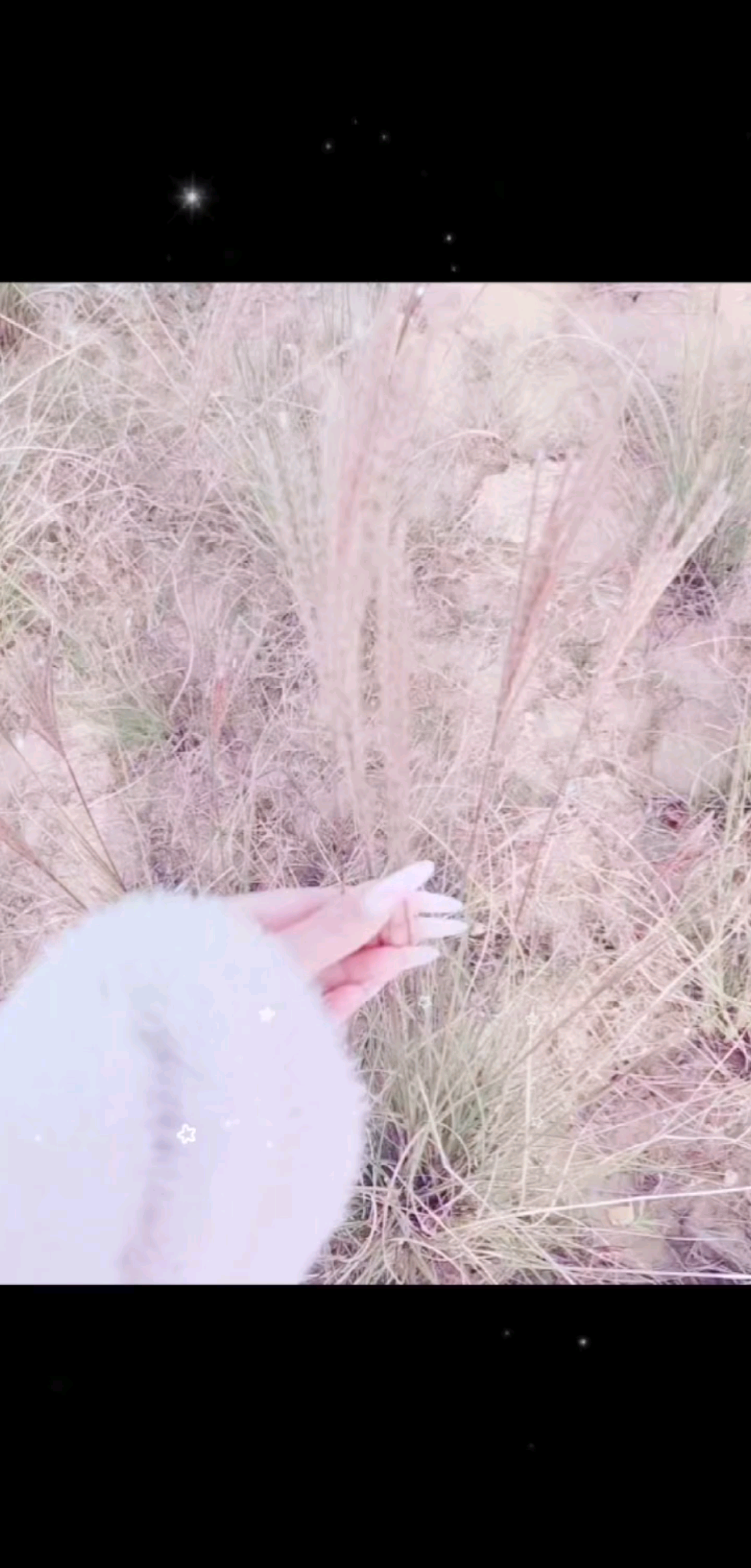 我把世间的美好统统赠