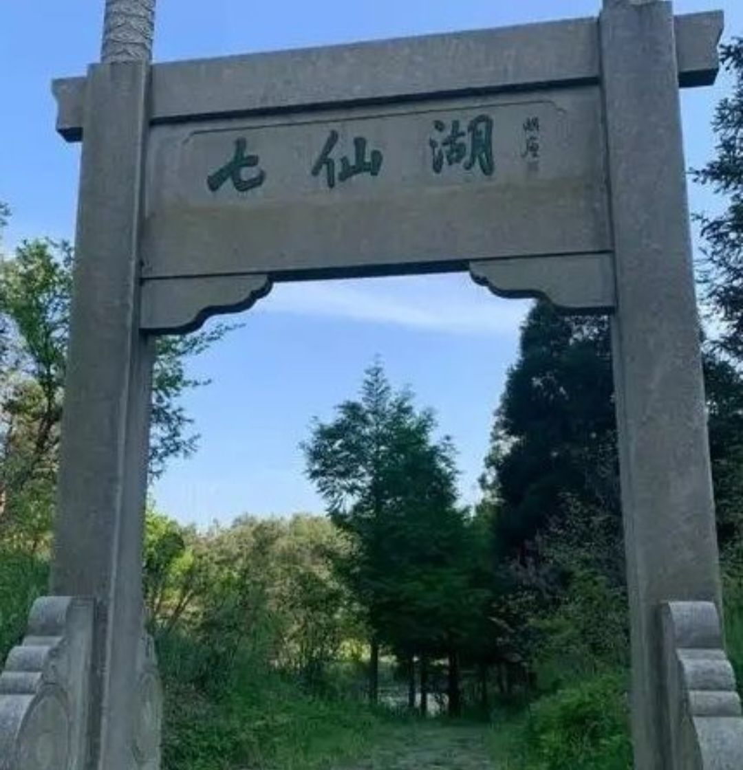 礼物一停！感情归零！的主播照片