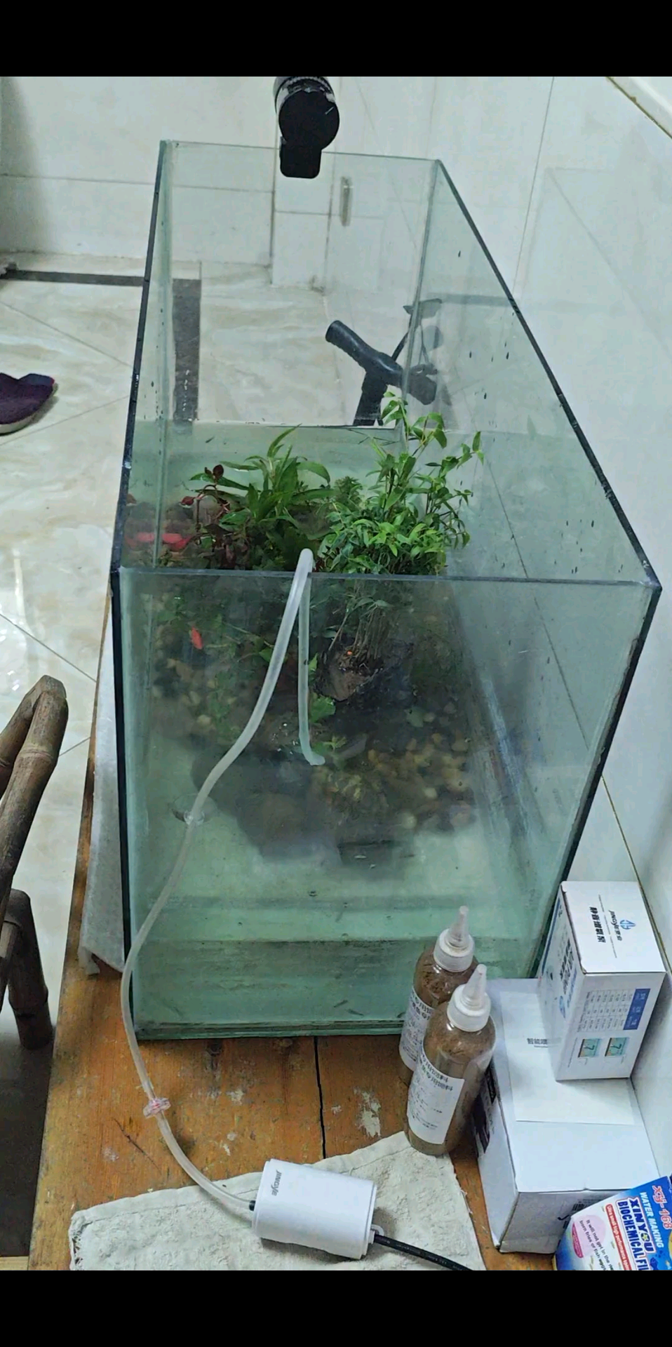 希望能养久些吧O(∩