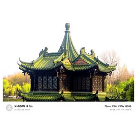 我是自由啊的图片