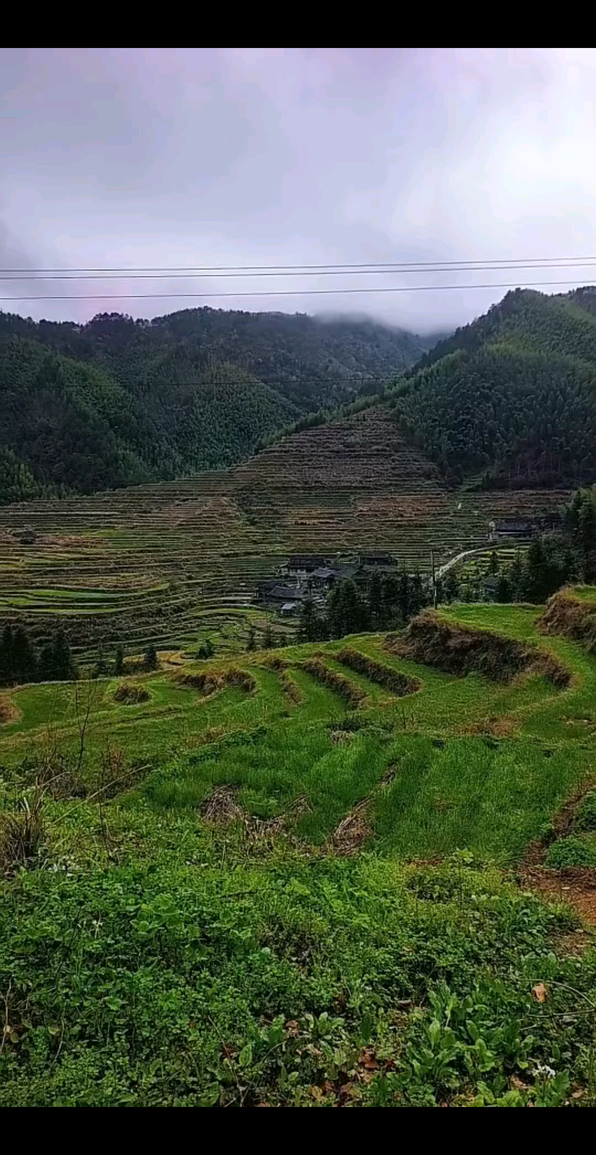 风景很美可惜天太冷了
