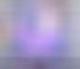 海鸽晚上播主播照片