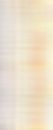 海鸽晚上播主播照片