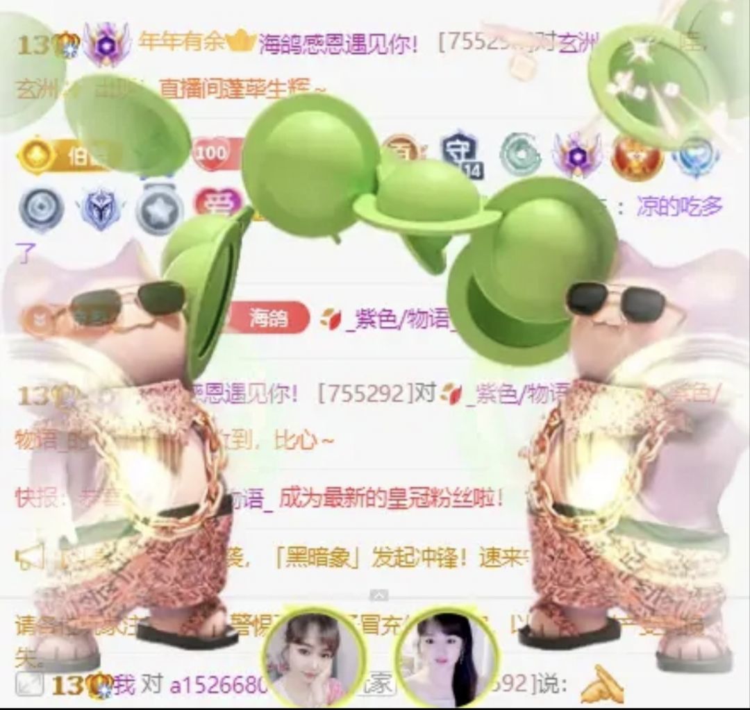 海鸽晚上播的图片