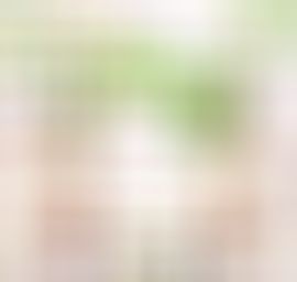 海鸽晚上播主播照片