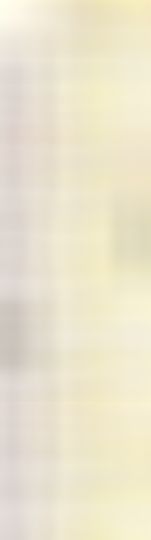 海鸽晚上播主播照片