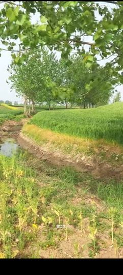 傲世_天下主播照片