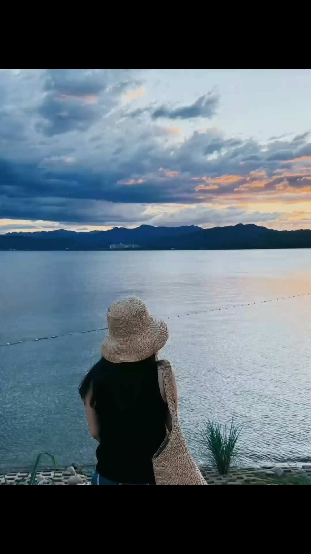 花在盛开前，都在悄悄