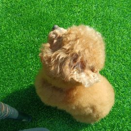 ❤️天宝❤️主播照片