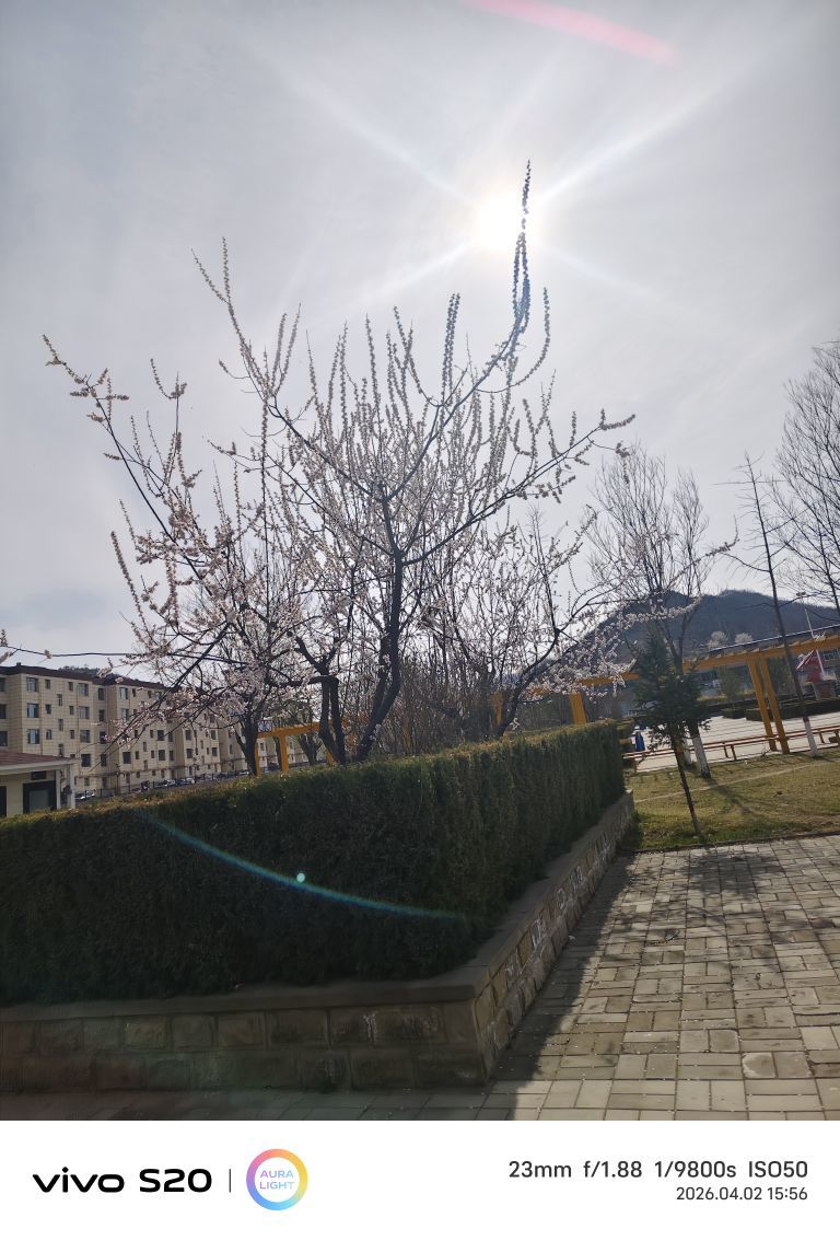 ☞小虎哥☜主播图片