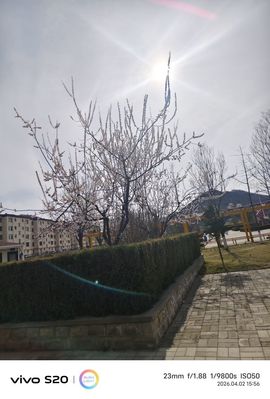 ☞小虎哥☜的图片