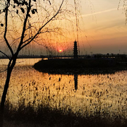 *天涯海角那里去*的头像