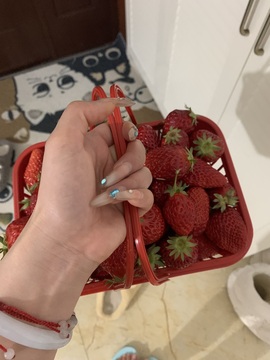 食肉小羊的图片