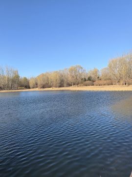 活捉一只小可奈的图片