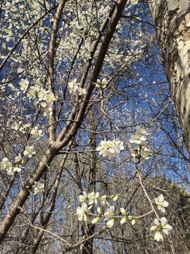 活捉一只小可奈的图片