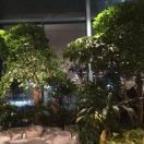 ⭐⭐⭐博利多⭐⭐⭐的头像