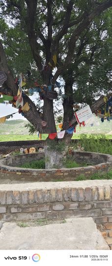 阿涛骑行分享风景！主播照片