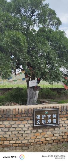 阿涛骑行分享风景！主播照片