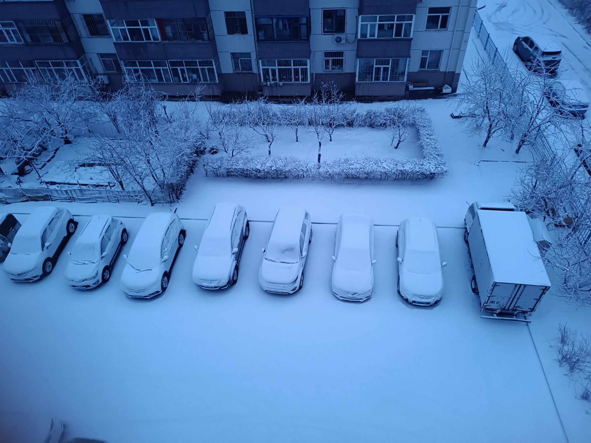 七格格👑军训队长的主播照片