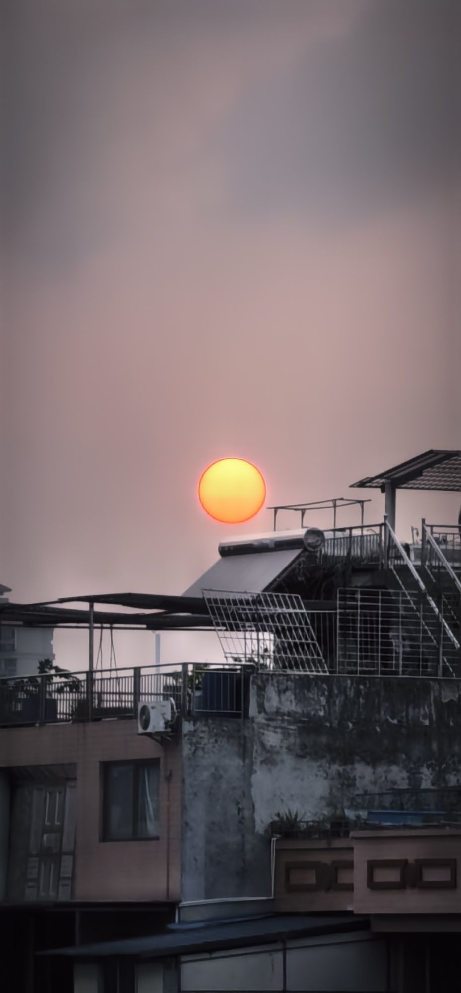 陈思郦🍀听经典主播图片