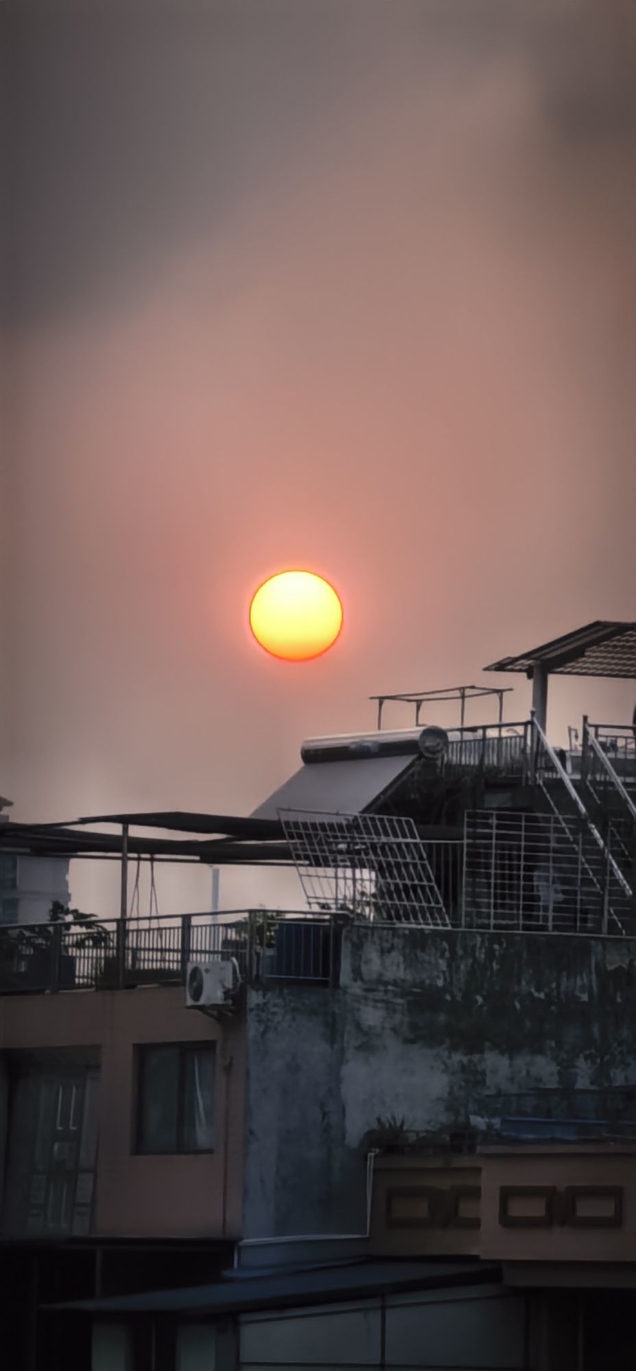 陈思郦🍀听经典主播图片