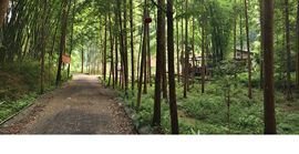 阿涛骑行分享风景！主播照片