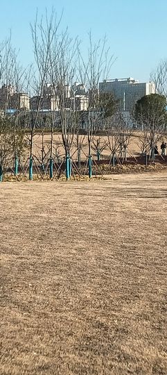 傲世_天下主播照片