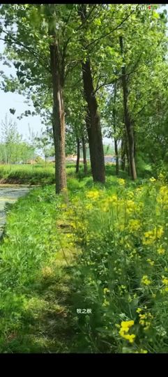 傲世_天下主播照片