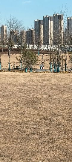 傲世_天下主播照片