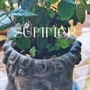 海阔天空，洞房花烛的头像