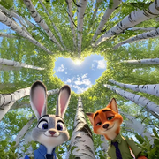 🇨🇳释怀的头像