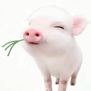 黑夜赶不走孤独的头像