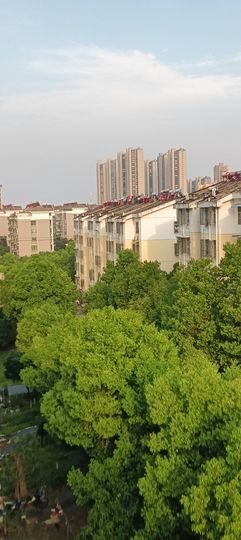 傲世_天下主播照片