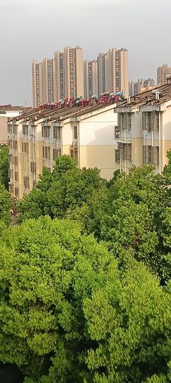 傲世_天下主播照片