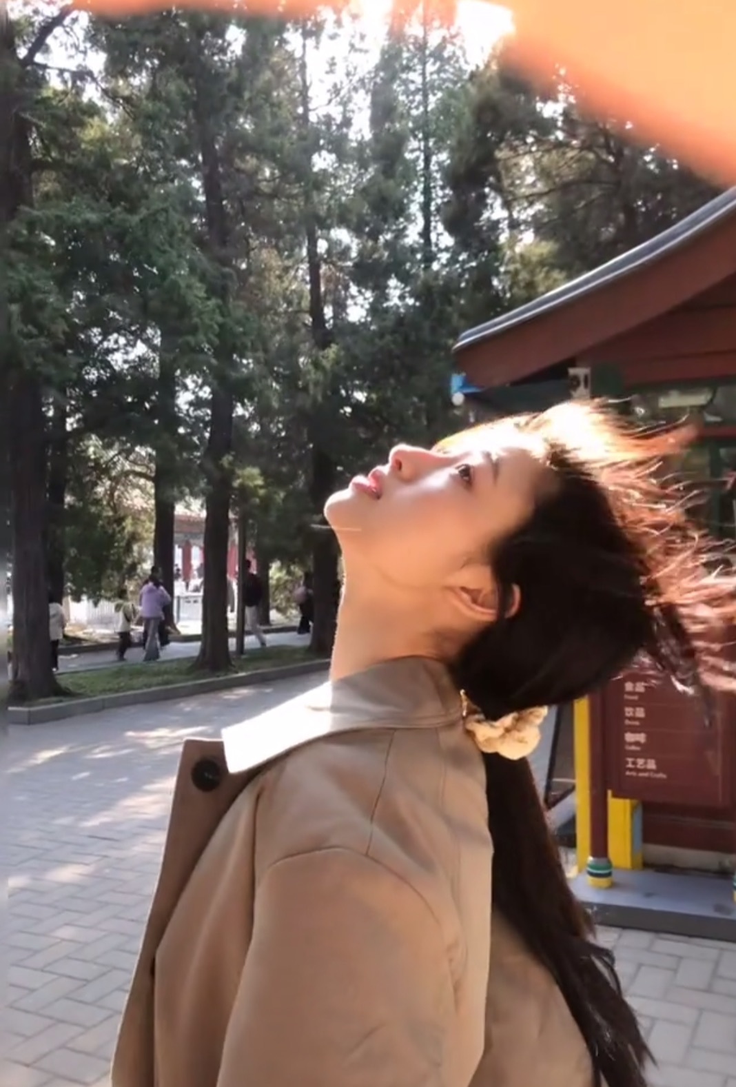 夏至🌸等风也等你的主播照片