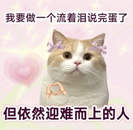 💃新人米儿发烧休一的图片