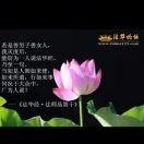 守候CPl