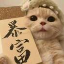 卿词n