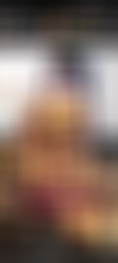 海鸽有事休主播照片