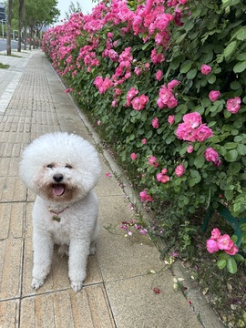 徐星然🎤主播照片
