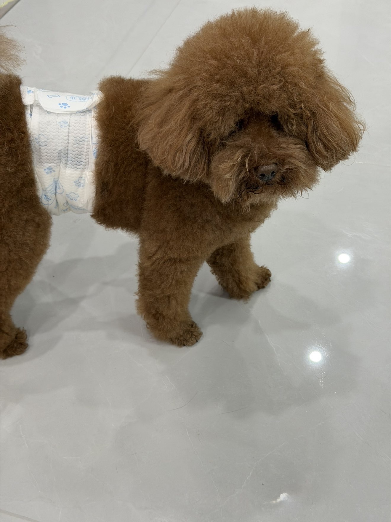 小寶娘親主播圖片