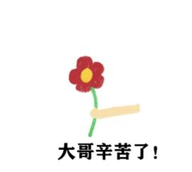 妞祝五一快乐😅的图片