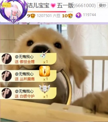 洁儿宝宝吖~主播图片