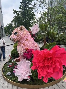 ♥美梦梦♥求百元榜的图片