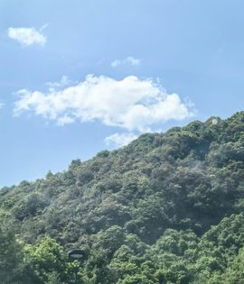 ♛花香染晨♛的图片