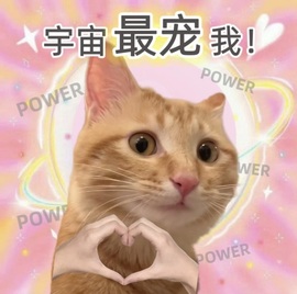 💃新人米儿妹妹的图片