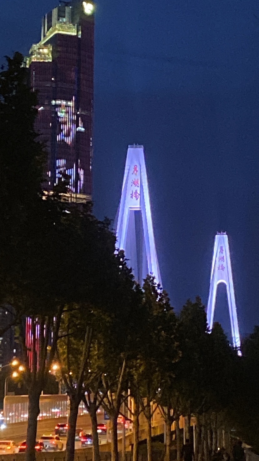 承诺终成谎言的主播照片