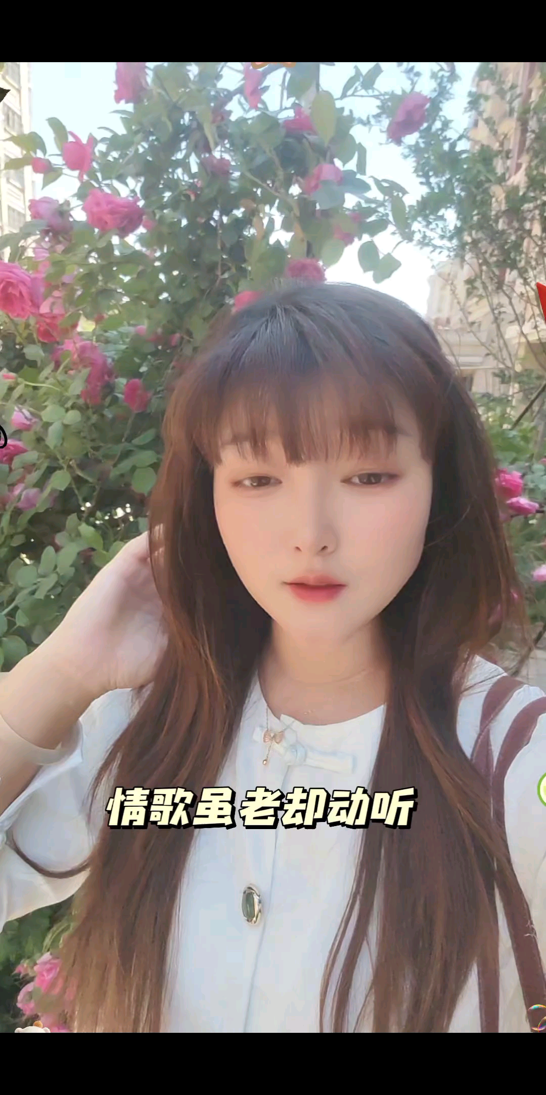 情歌虽老却动听/飞吻