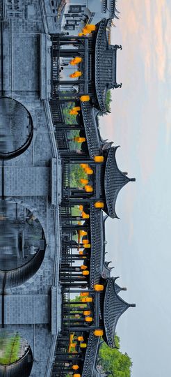 我是自由啊的图片